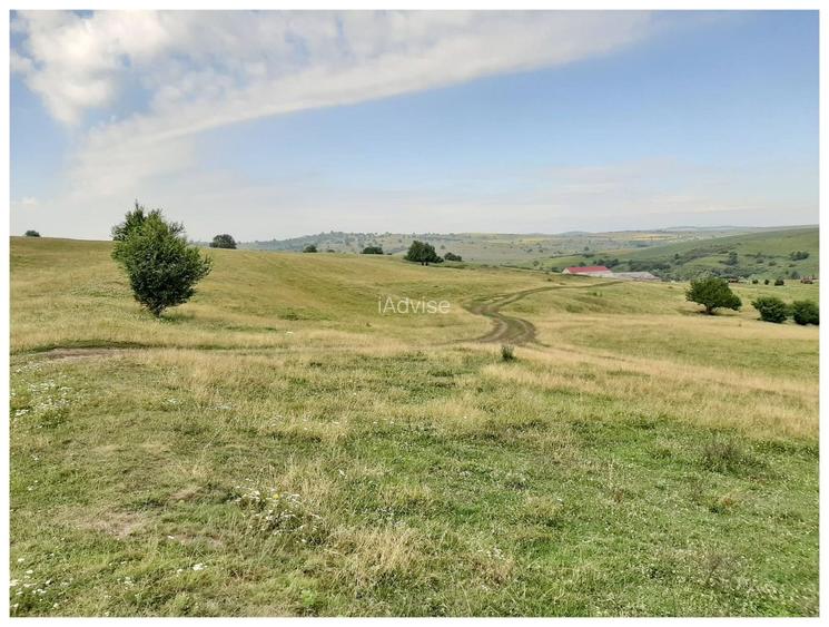 Teren Sercaia  250 ha - 11