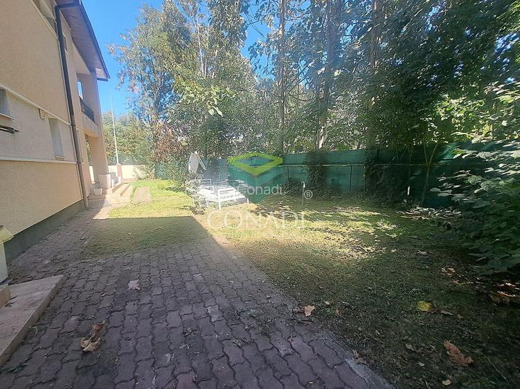 Zona Iancu NIcolae, vila de inchiriat, 255 mp utili - 12