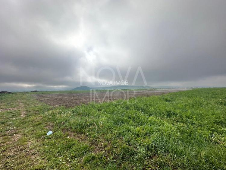 Teren extravilan de vanzare - Gura Raului - 5