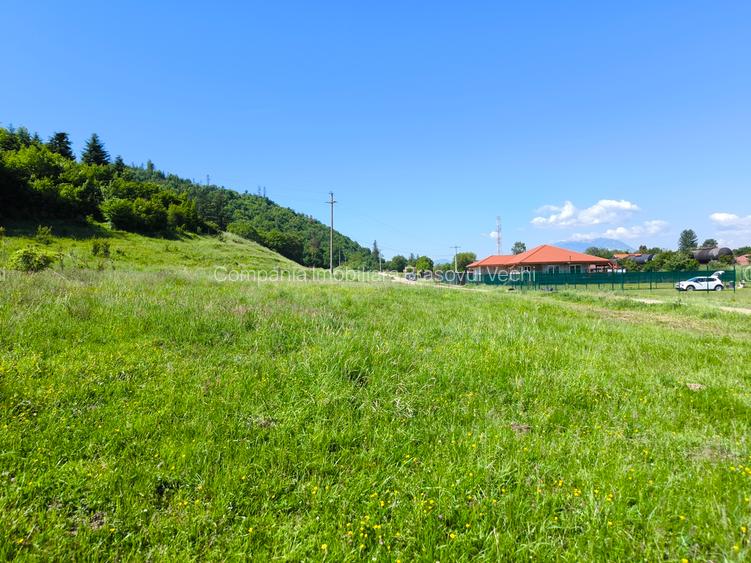 Teren intravilan în Cristian - Lunca Gării. - 2