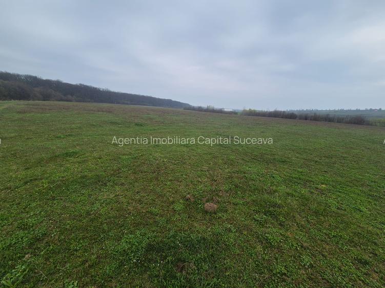 Teren Mitoc-Lipoveni de vânzare - 2