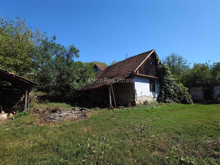 Teren intravilan cu potential, casa si anexe in Lunca - 9