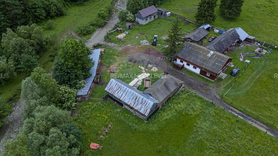 Ferma de vanzare, teren 21436 mp intravilan, Cosnea, Agas - 6