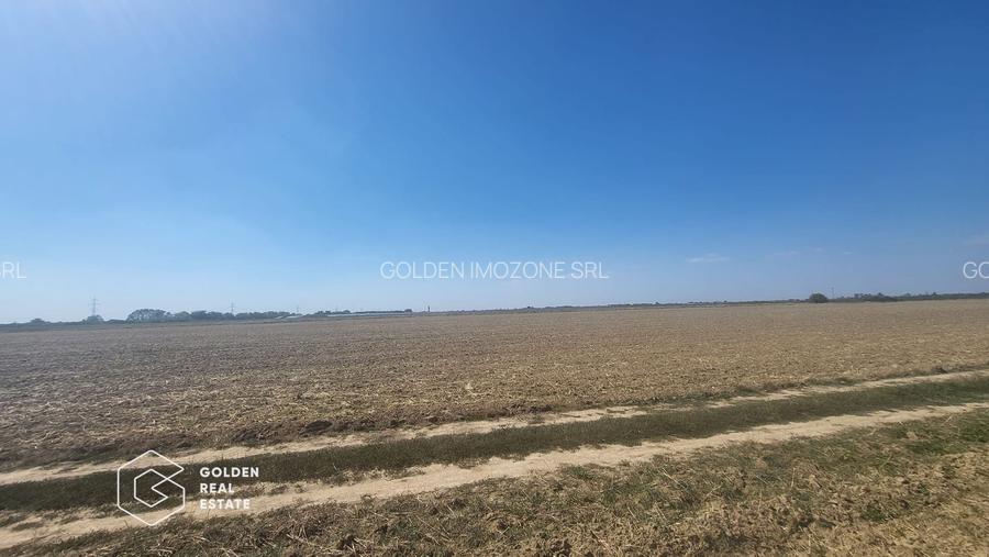 Teren Mosnita Noua, 11600 mp - 2