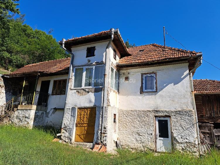 Casa batraneasca de vanzare - 9