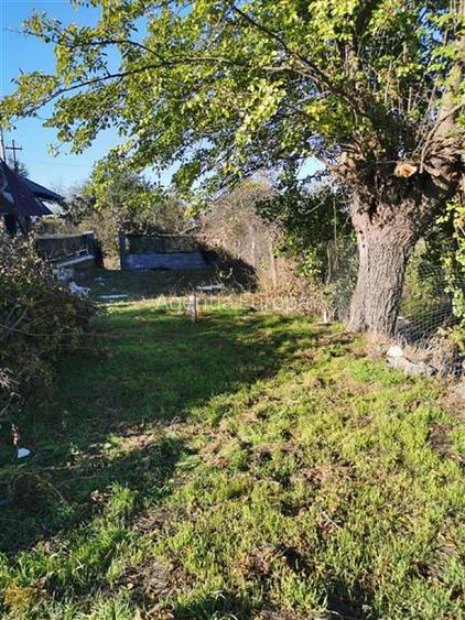 Teren de vanzare in Nifon Tulcea - 3