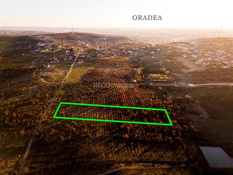 RECO Teren Intravilan 5305mp Paleu - 6