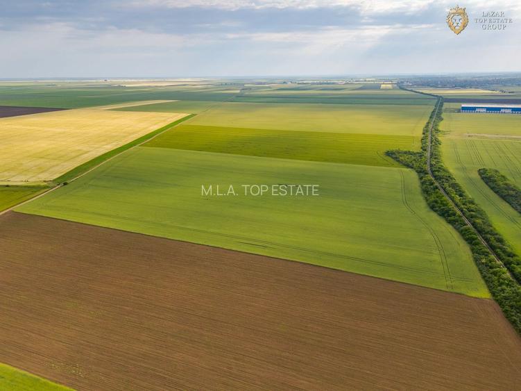 Teren Extravilan Arad de vanzare - 14