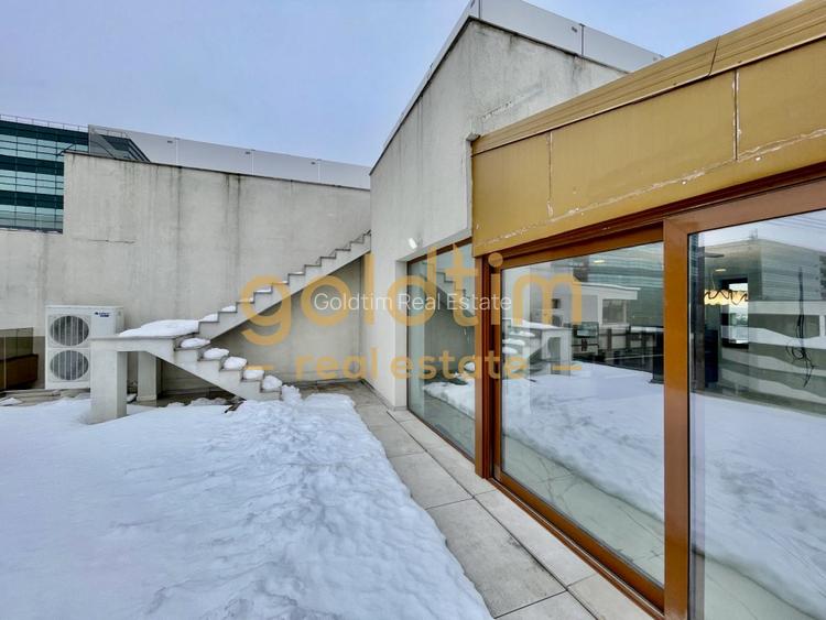 SPATII GENEROASE/PENTHOUSE CU GARDEN FLOOR/ 372 mp utili/PORSCHE NORD - 66