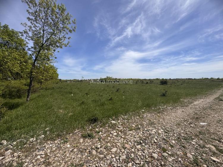 Giroc-Calea Urseni, Parcela teren, Oportunitate investitie - 4