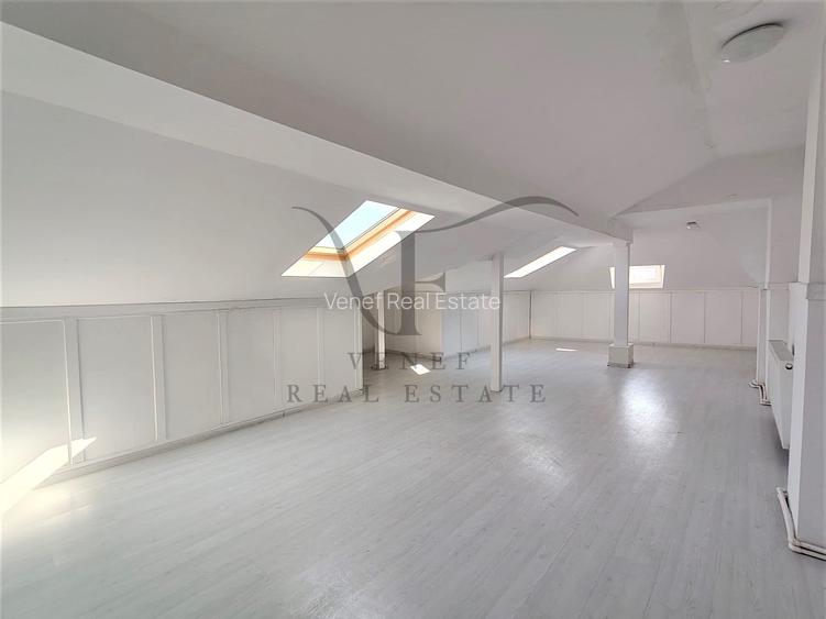 Vila 9 camere 3 grupuri sanitare 1 terasa 354 mp Vasile Lascar Stefan cel Mare - 34