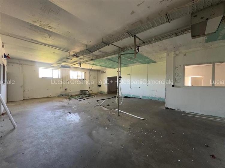 Hala alimentara, Calea Chisinaului, rampa, platforma, 234mp - 12