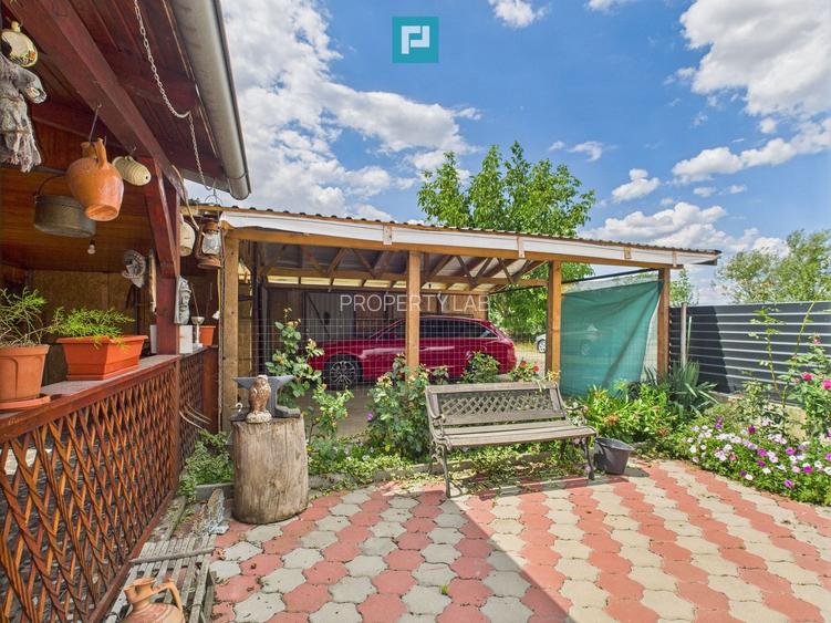 Casă spațioasă cu grădină în Topolovățu Mare - 21