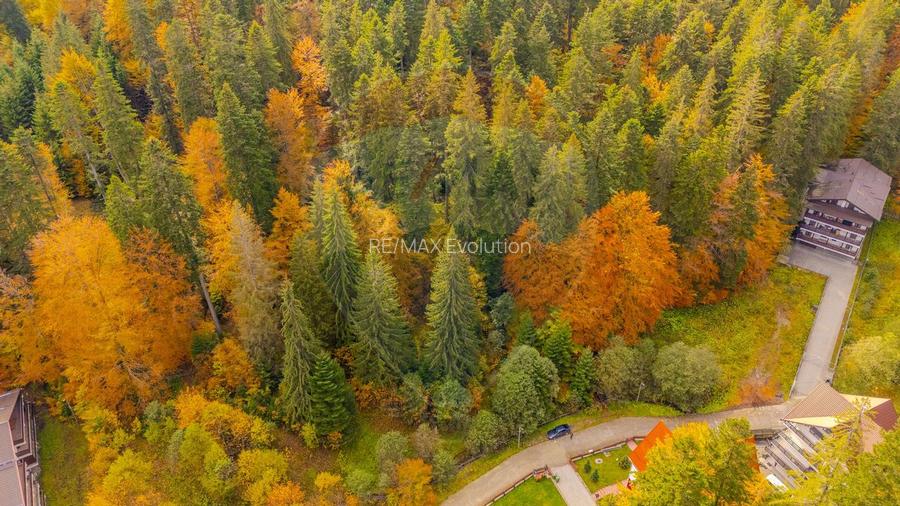 Comision 0 | Teren intravilan de vanzare - Predeal, Brasov 908 mp - 7