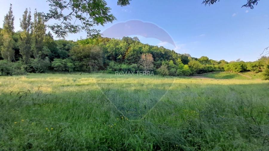 DE VANZARE- GOSPODARIE cu 95 arii teren - 4