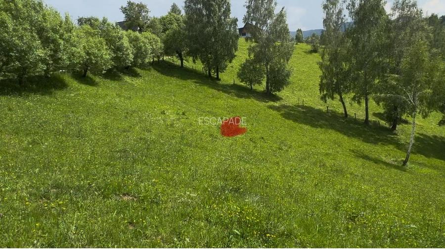 Teren de poveste, intru-un sat de poveste Pestera/Moeciu/Brasov - 7