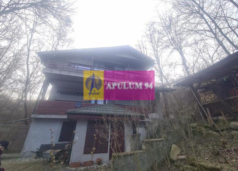 Casă de vânzare în Provița de Jos - 2