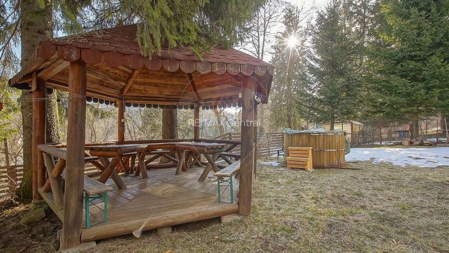 Vilă istorică, proiectată de arhitectul Emil Nădejde în Timișu de Sus - 12