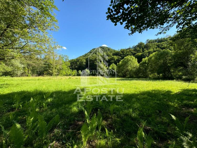 Teren de vanzare pe marginea raului, 1300mp, in Gros, Hunedoara - 2