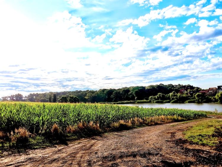 Vanzare vila Corbeanca - 24