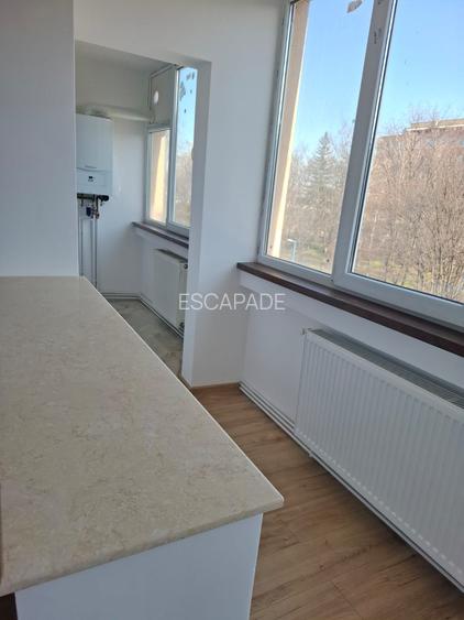 Chirie 2 camere, recent renovat, vedere parc, zona piata dacia - 6