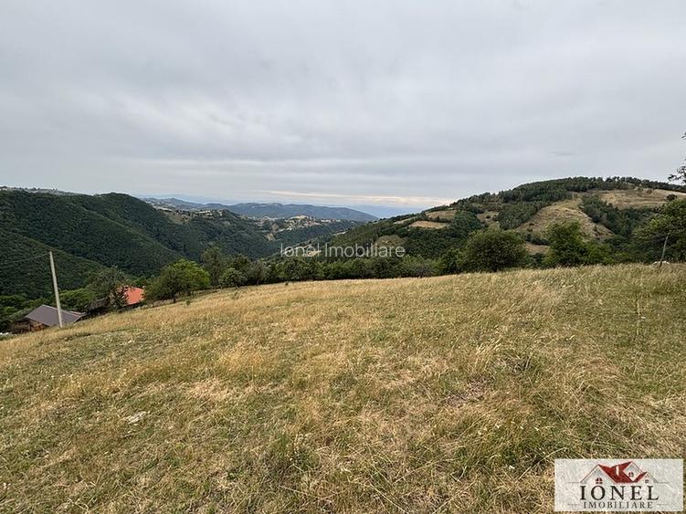 Casa de vanzare in comuna Sasciori cu 84.843 mp teren - 9