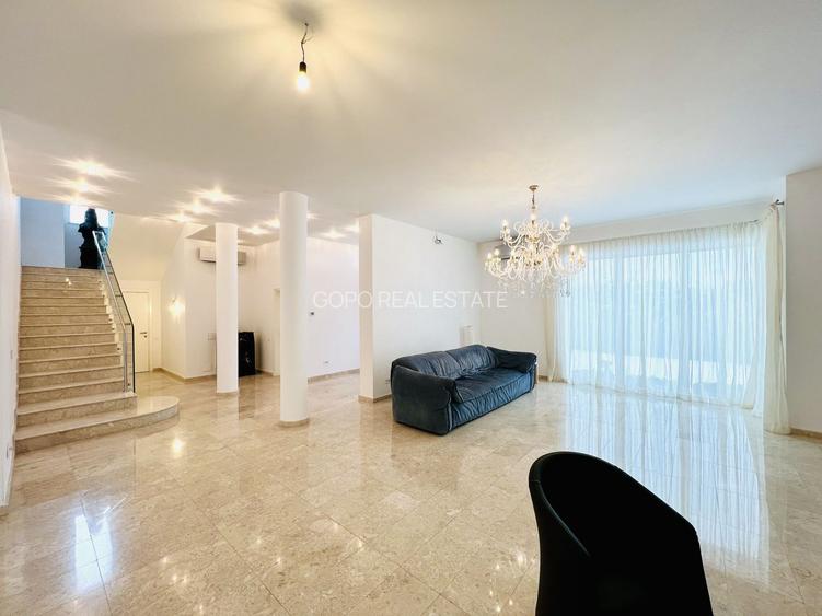 Proprietate deosebita suprafete generoase 580 mp teren 2076 mp - 4