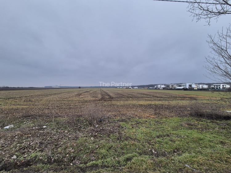 TEREN DE VANZARE LA SOSEA - STEFANESTI ILFOV - 5