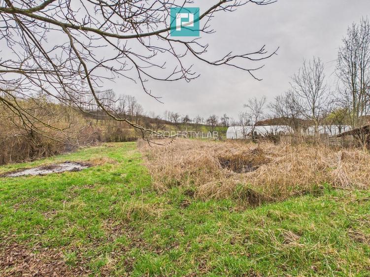 Casă la roșu în localitatea Almaș, Arad. - 8