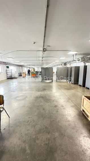 Zona Margeanului HALA industriala +birouri +depozit  ! - 5