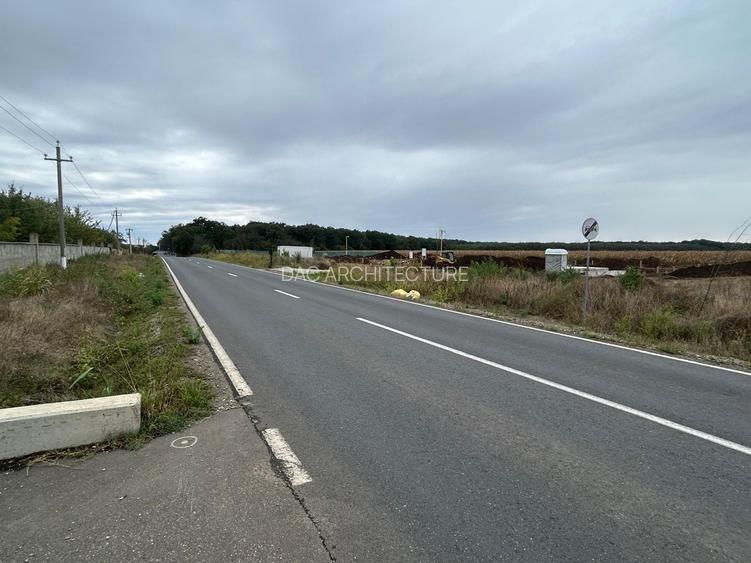 TEREN INTRAVILAN 794 MP MOARA VLASIEI / GRADISTEA - 6