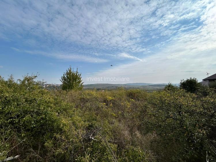 TEREN INTRAVILAN , 500 MP , LUNCA CETATUII-CARTIER CRIHAN - 4