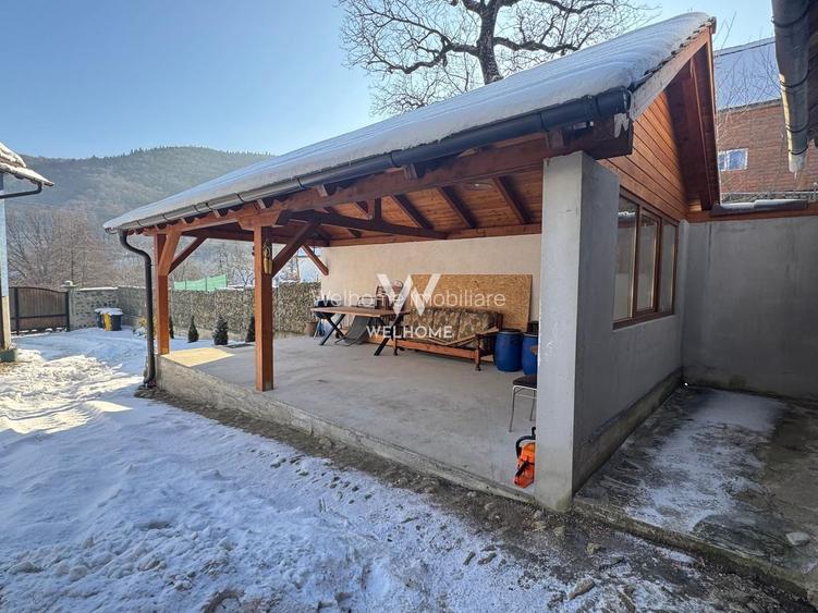 Casa de vacanta, sat Fantanele, Sibiu - 13