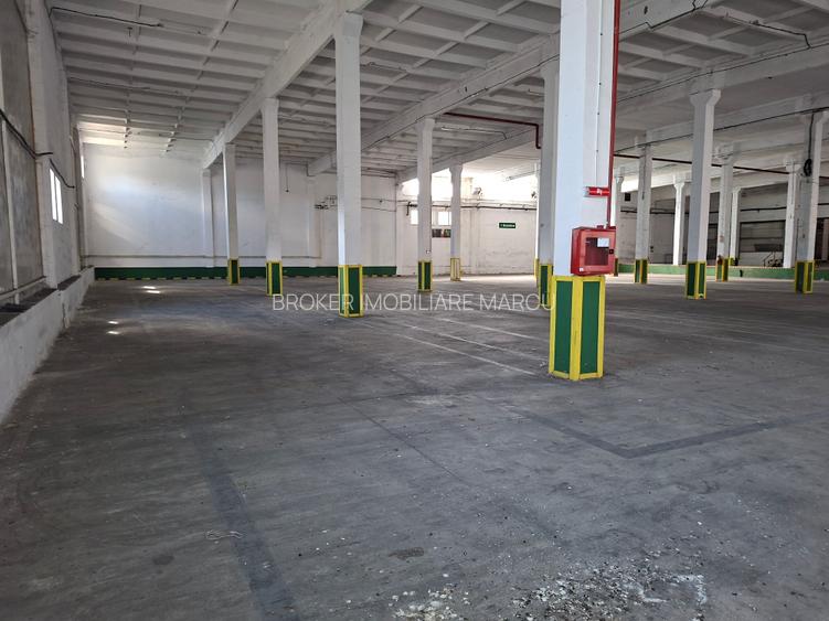 Centrul  3 G Logistics  5000mp - 2