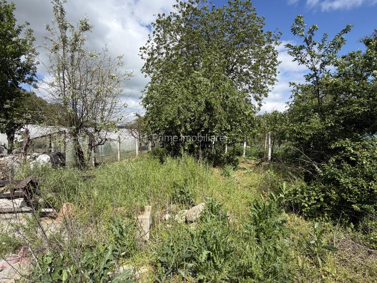Casă Spațioasă de Vânzare | Sebeș | 360 MP UTILI | 835 MP Teren | - 16
