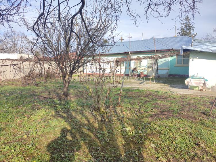 Teren Generos de 1160 mp cu Potențial  în Afumați – Deschidere Stradala 26m - 5