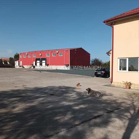 Depozit 600mp Techirghiol - 8