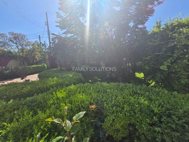 Vila individuala P+2E,Popesti Leordeni,Sos.Oltenitei - 13