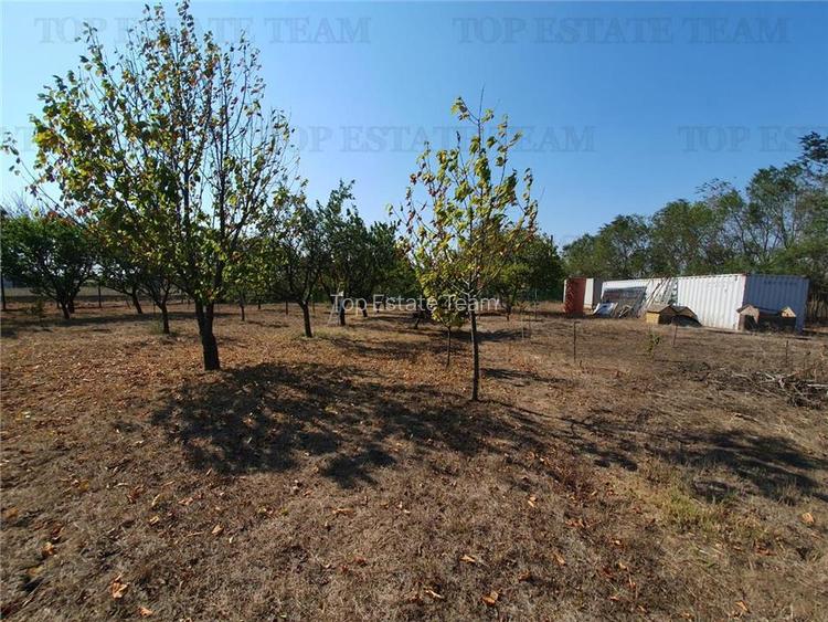Teren intravilan agricol si teren curti constructii Lot 2 Parcela A326/49 - 12