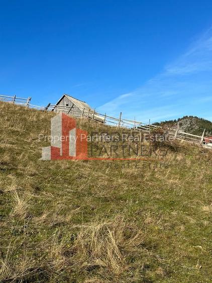 Teren Fundatica intravilan 4500 mp - 10