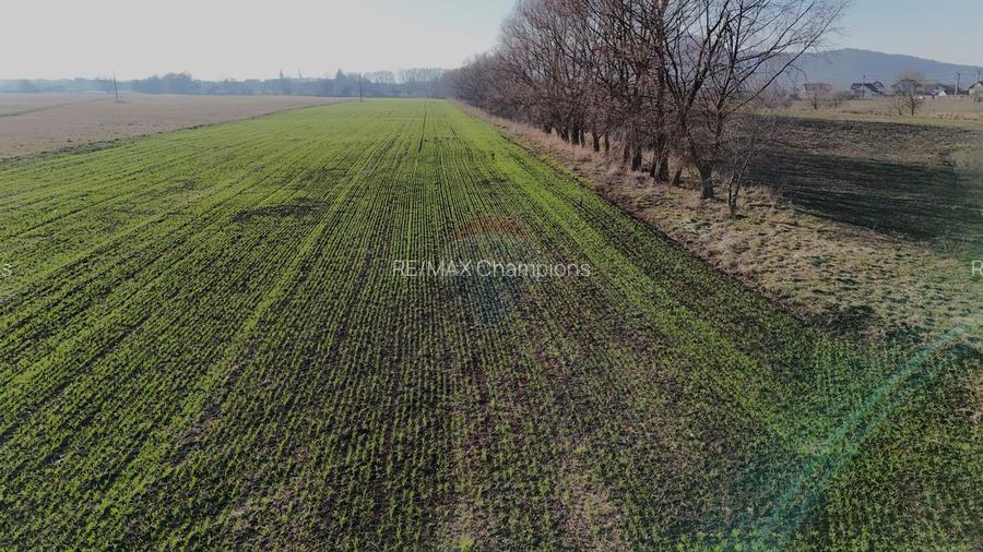 Teren extravilan cu potențial ridicat industrial/rezidential | Hărman - 8