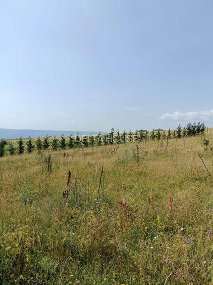 Oportunitate: teren extravilan Cluj, 4527 mp, apa, curent, pret 18 Eur/mp - 7