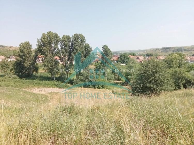 Teren intravilan, 3000 mp, în Corușu! - 5