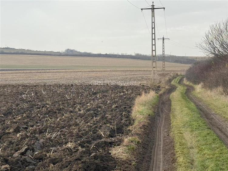 Teren extravilan in EXCLUSIVITATE 20300 mp in Sura Mica - 2