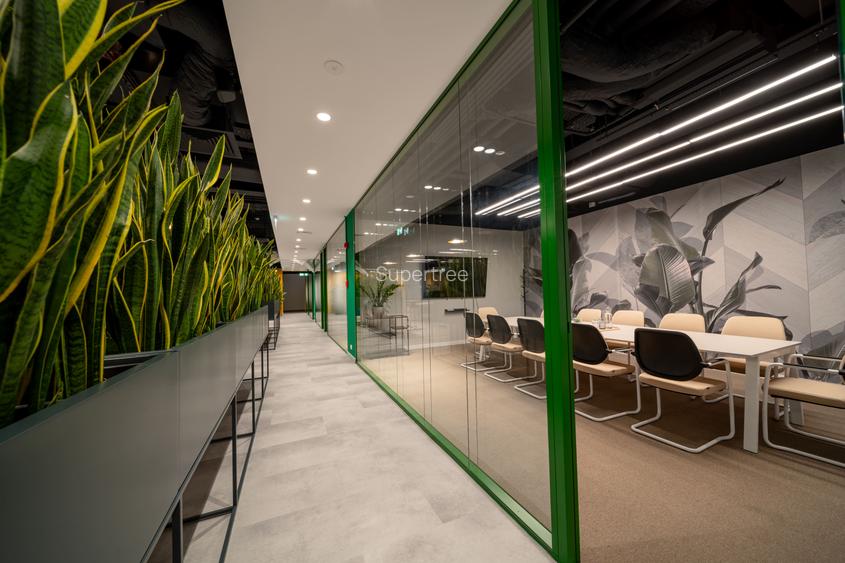 Birou privat premium (până 6 persoane, cu lumină naturală, la Supertree Pipera) - 5