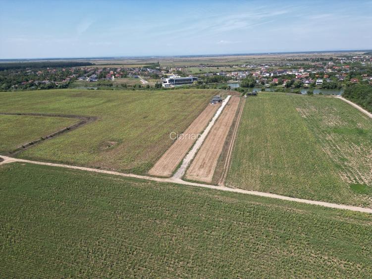 Teren intravilan langa padure Corbeanca Park - 7