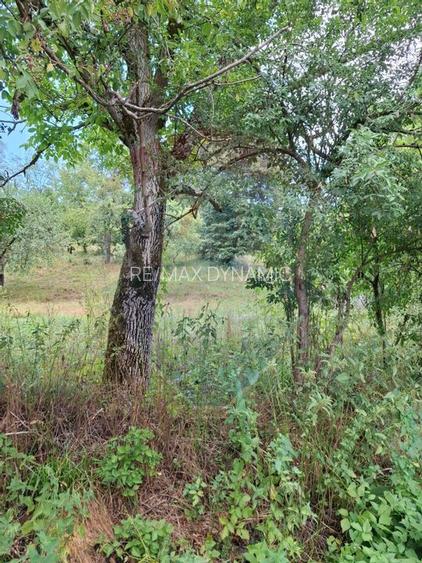 Teren de vânzare 990mp în Barzava, județul Arad - 6