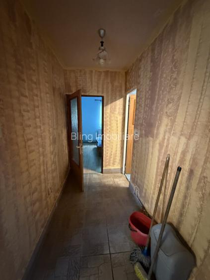 Cabana 5 dormitoare - 138.6 mp utili - 386 mp teren - Baisoara! - 7