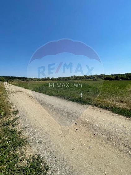 TEREN  INTRAVILAN  5000mp ORAS CISNADIE  STR. SELIMBARULUI - 15