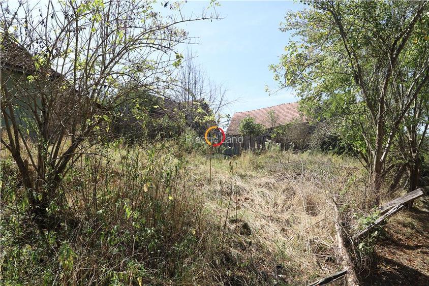 casa traditionala Bruiu Somartin judet Sibiu - 8